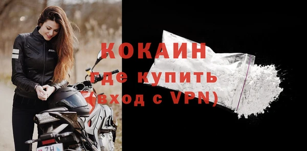 дурь Няндома