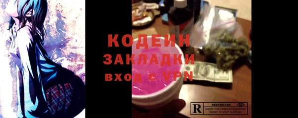 дурь Няндома