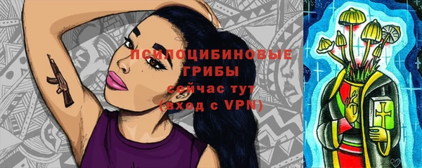 прущие грибы Белоозёрский