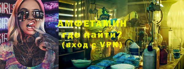 дурь Няндома