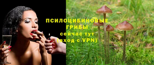 МДПВ Осташков