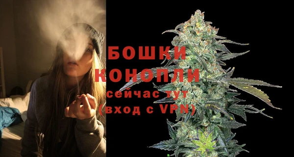 ГАЛЛЮЦИНОГЕННЫЕ ГРИБЫ Нягань