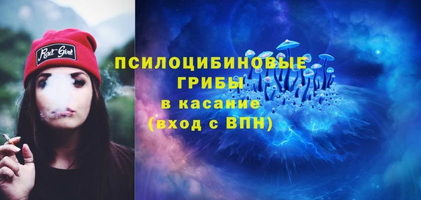 дурь Няндома