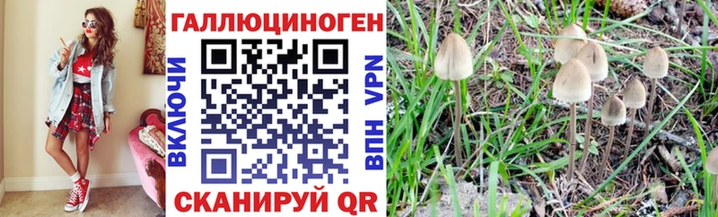 Псилоцибиновые грибы Cubensis  где купить наркоту  Анжеро-Судженск 