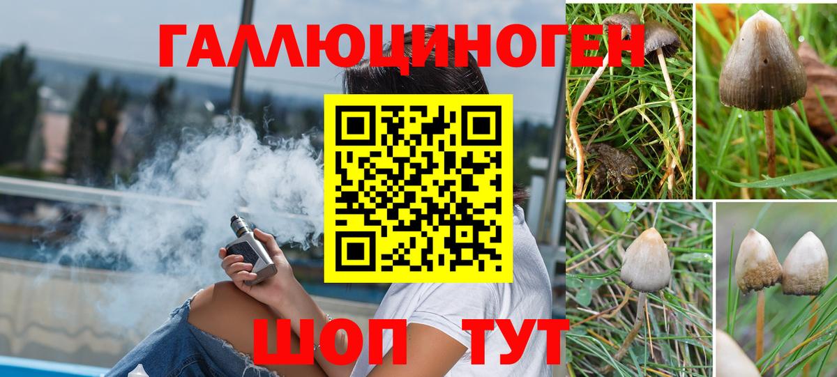 как найти закладки  Галлюциногенные грибы MAGIC MUSHROOMS  Вход с VPN  Анжеро-Судженск 