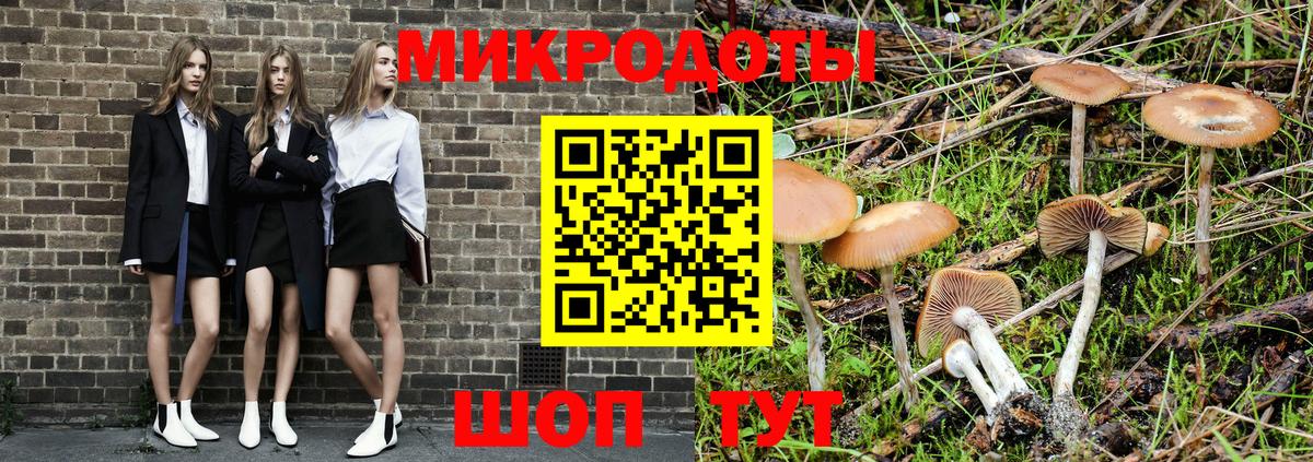 Псилоцибиновые грибы MAGIC MUSHROOMS  Галлюциногенные грибы Magic Shrooms  Анжеро-Судженск 